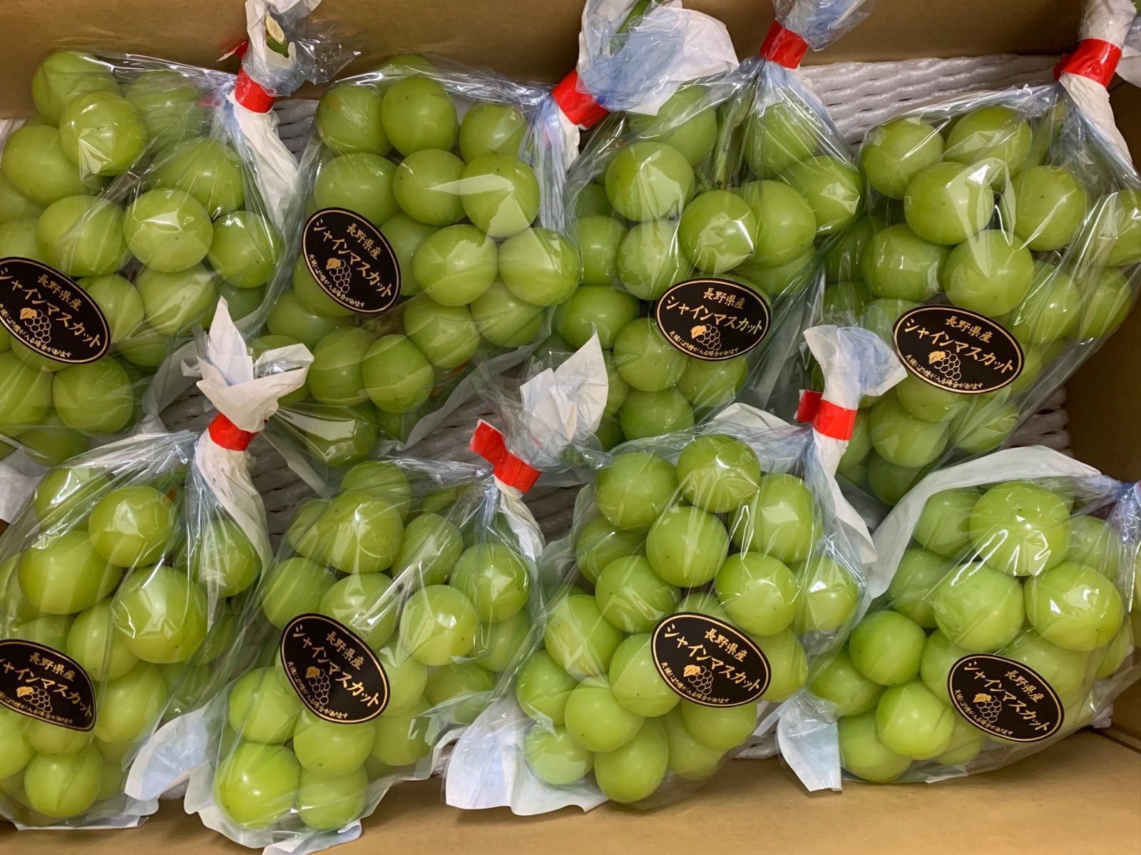 4kg箱 山形県産 朝採れ シャインマスカット 袋入り 9⁄24発送4kg