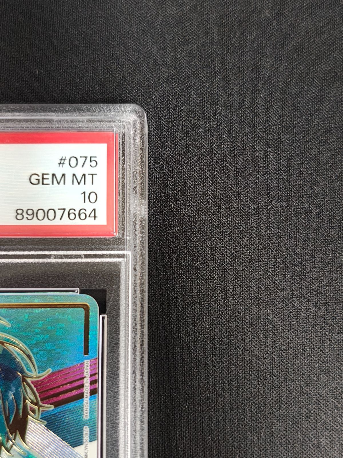 ユニオンアリーナ