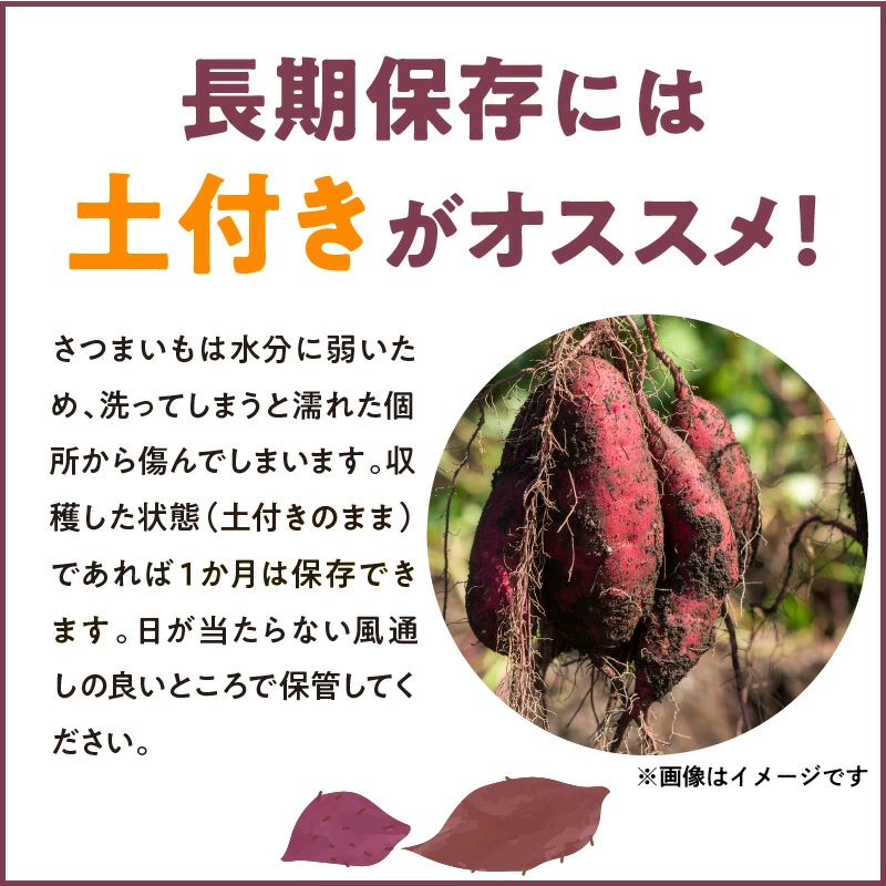 福岡県久留米市産 長期熟成紅はるか  3kg 2Lサイズ  土付き/sweetpotato