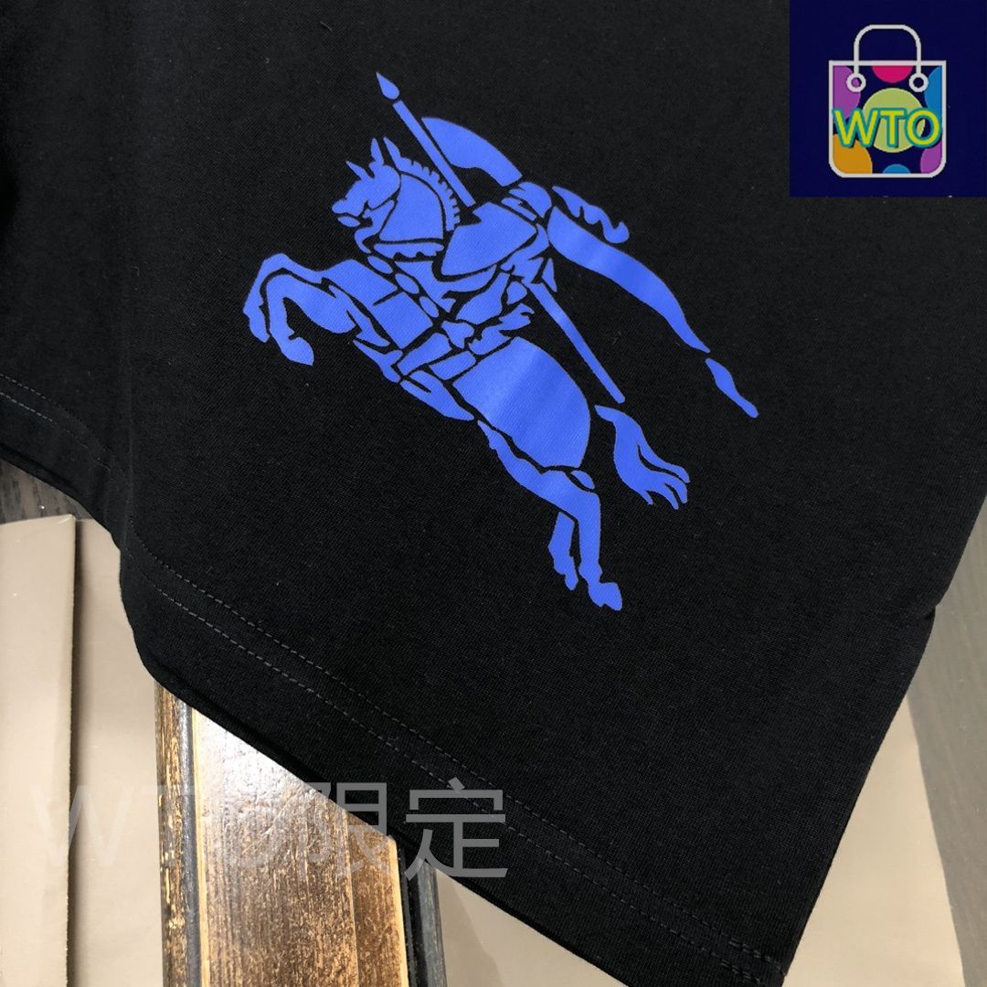 ☆Burberry☆ 『馬上の騎士』刺繍クルーネックコットンTシャツ♪ バーバリー 刺繍ホースロゴ 馬上の騎士 Tシャツ ホワイト L
