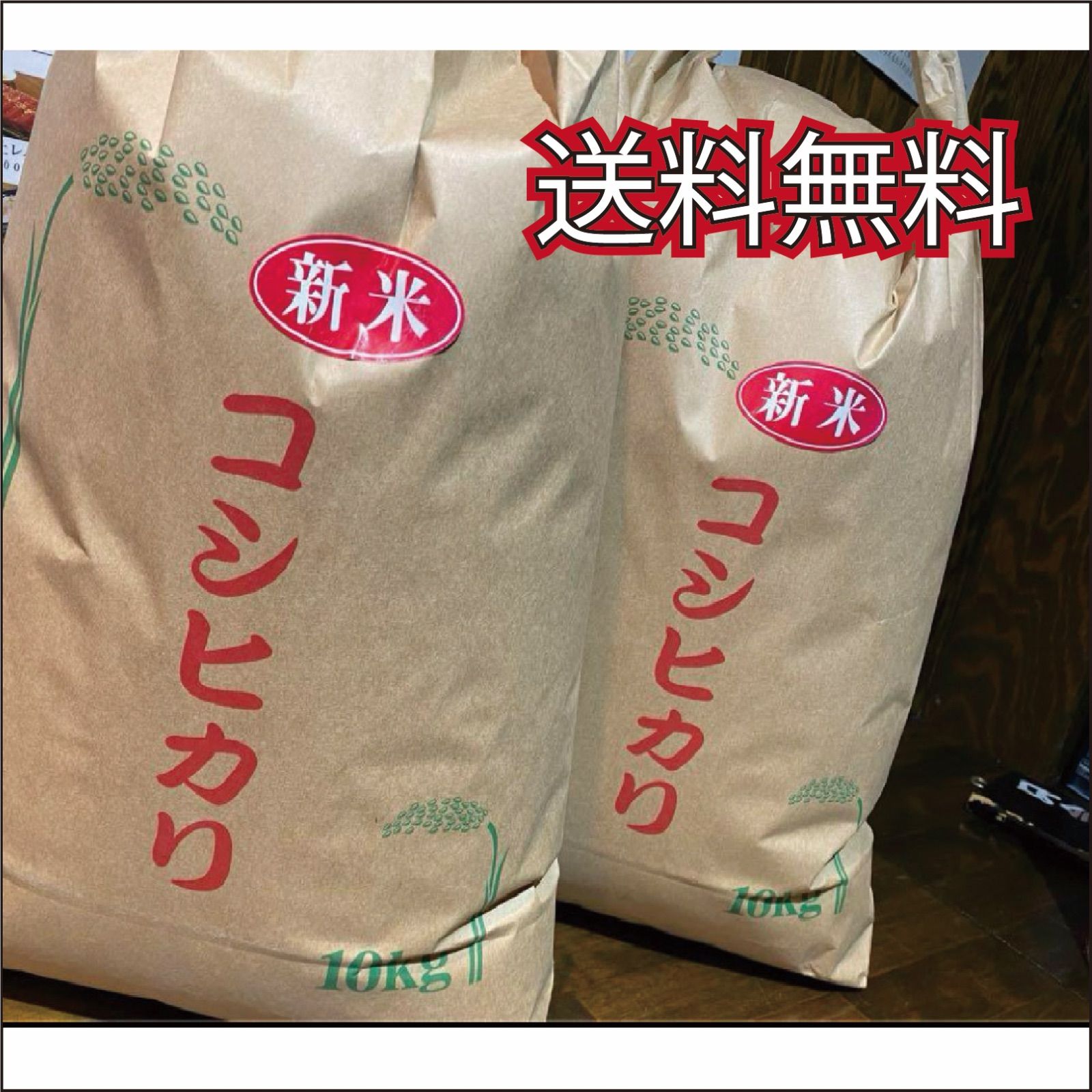 精米 令和7年度産 新米 コシヒカリ20kg