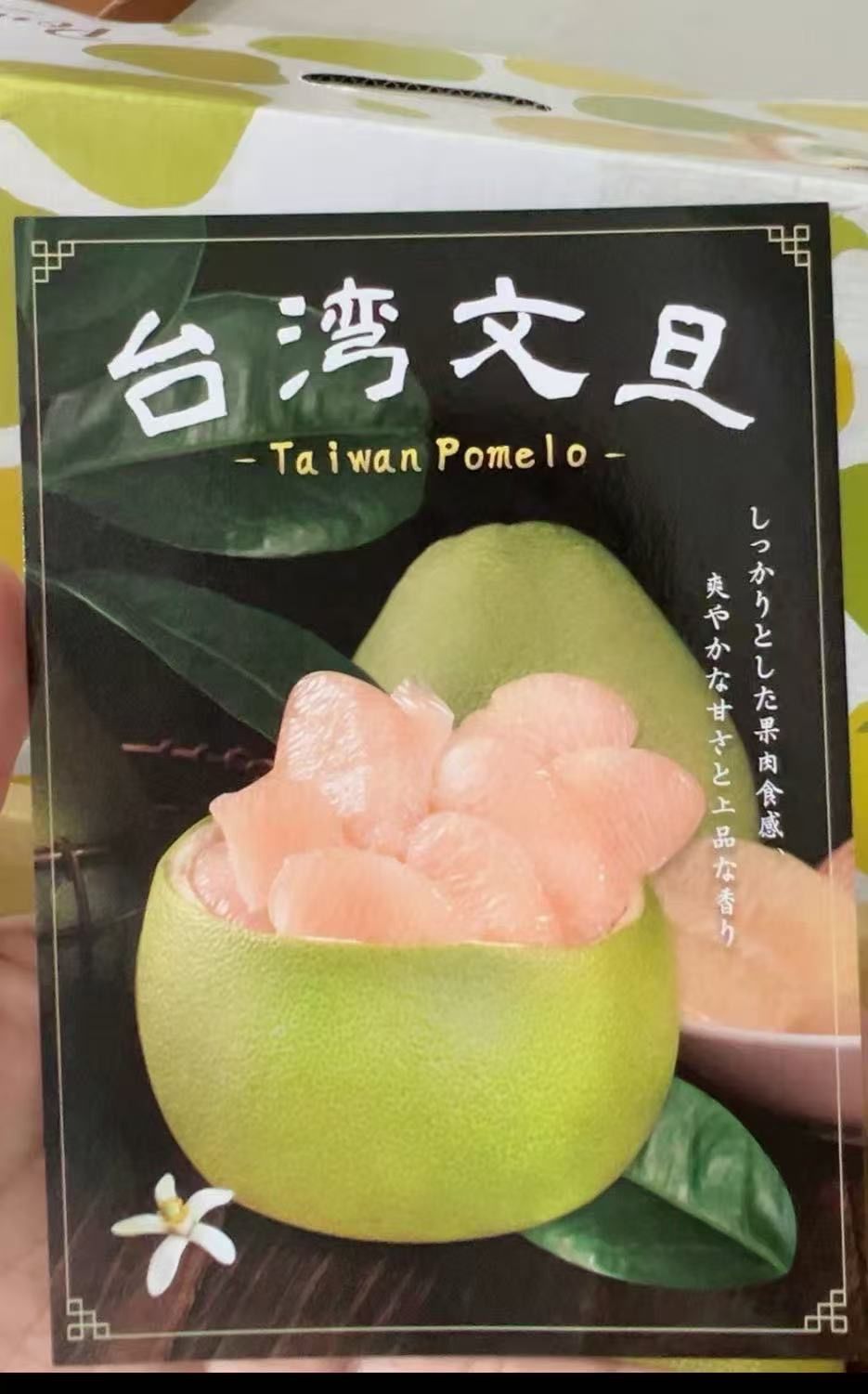 航空輸入+即日発送　　台湾麻豆文旦（ブンタン）　1箱 航空輸入+即日発送 台湾麻豆文旦（ブンタン） 1箱 航空輸入+即日