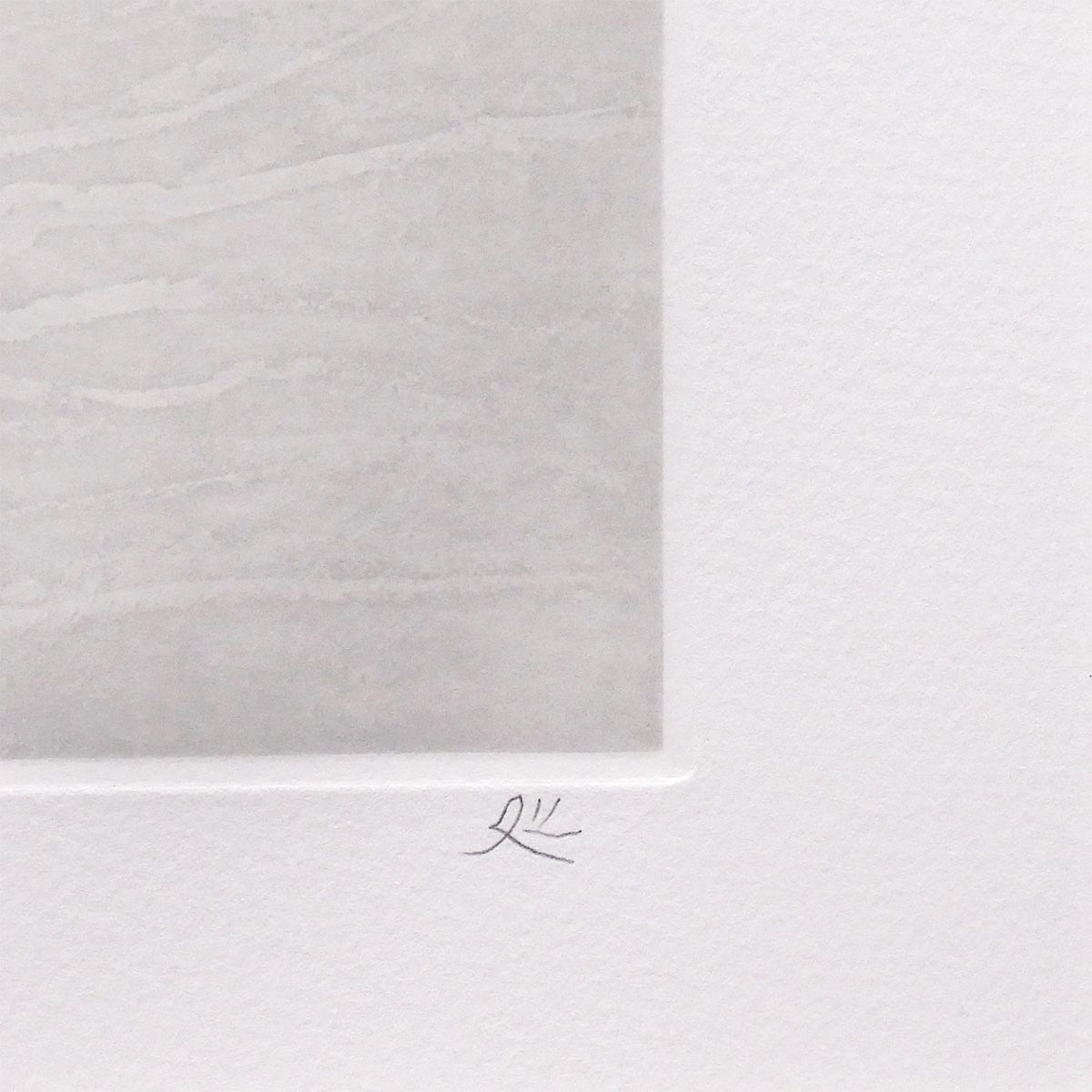 加山又造 横になる裸婦 84-白衣 人物画 作家直筆サイン 女性像 美人画 影響 村上隆 小松美羽 日本画 版画 絵画 げ交渉 WWW_IBETON_RU