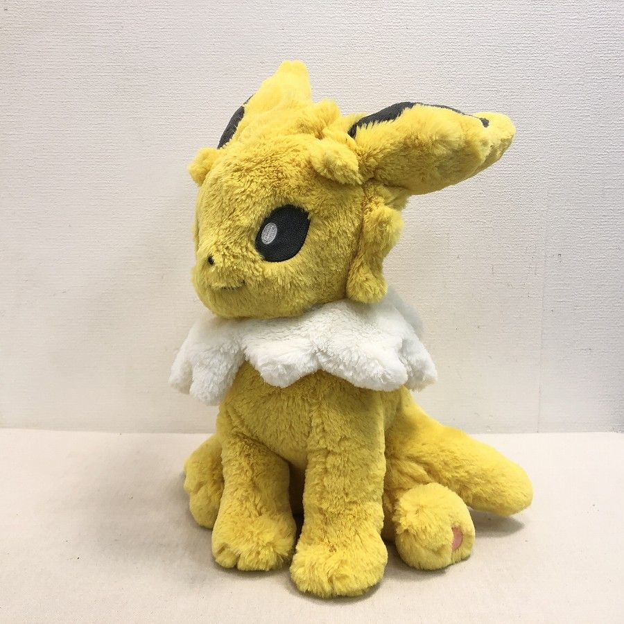 Pokemon Center ポケモンセンターオリジナル ふわふわ抱き