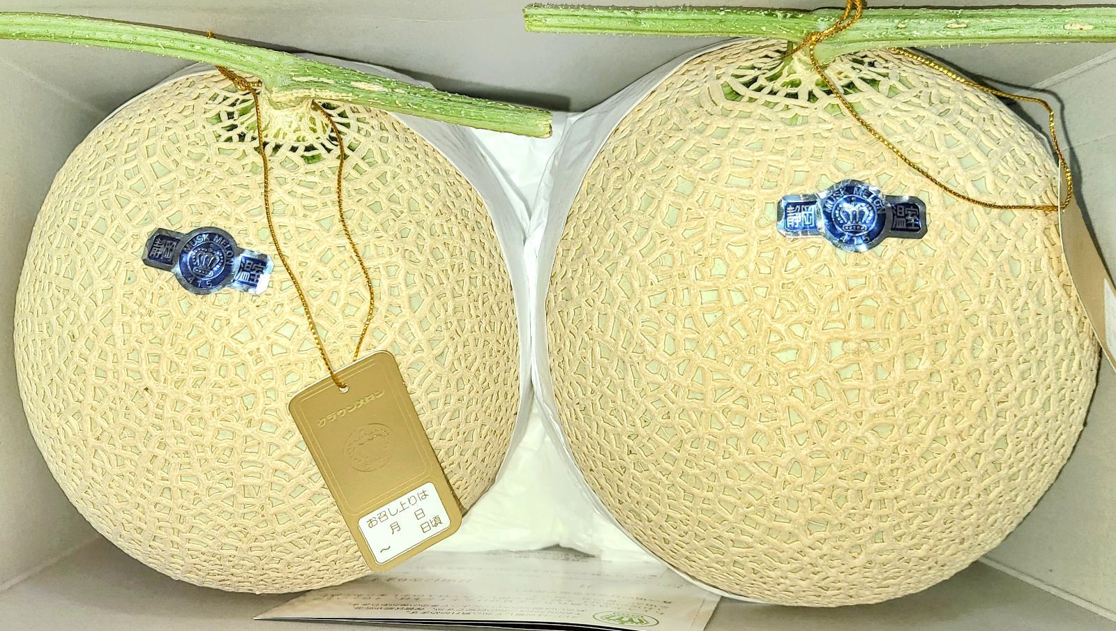 静岡