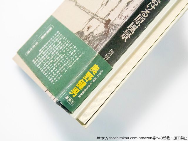 文学における原風景 原っぱ・洞窟の幻想 初函帯/奥野健男/集英社