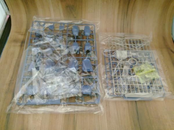 プラモデル バンダイ 1/100 グフ ONE YEAR WAR 0079 設定カラー