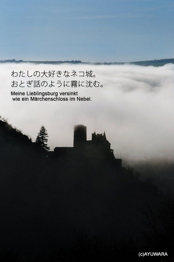 アート