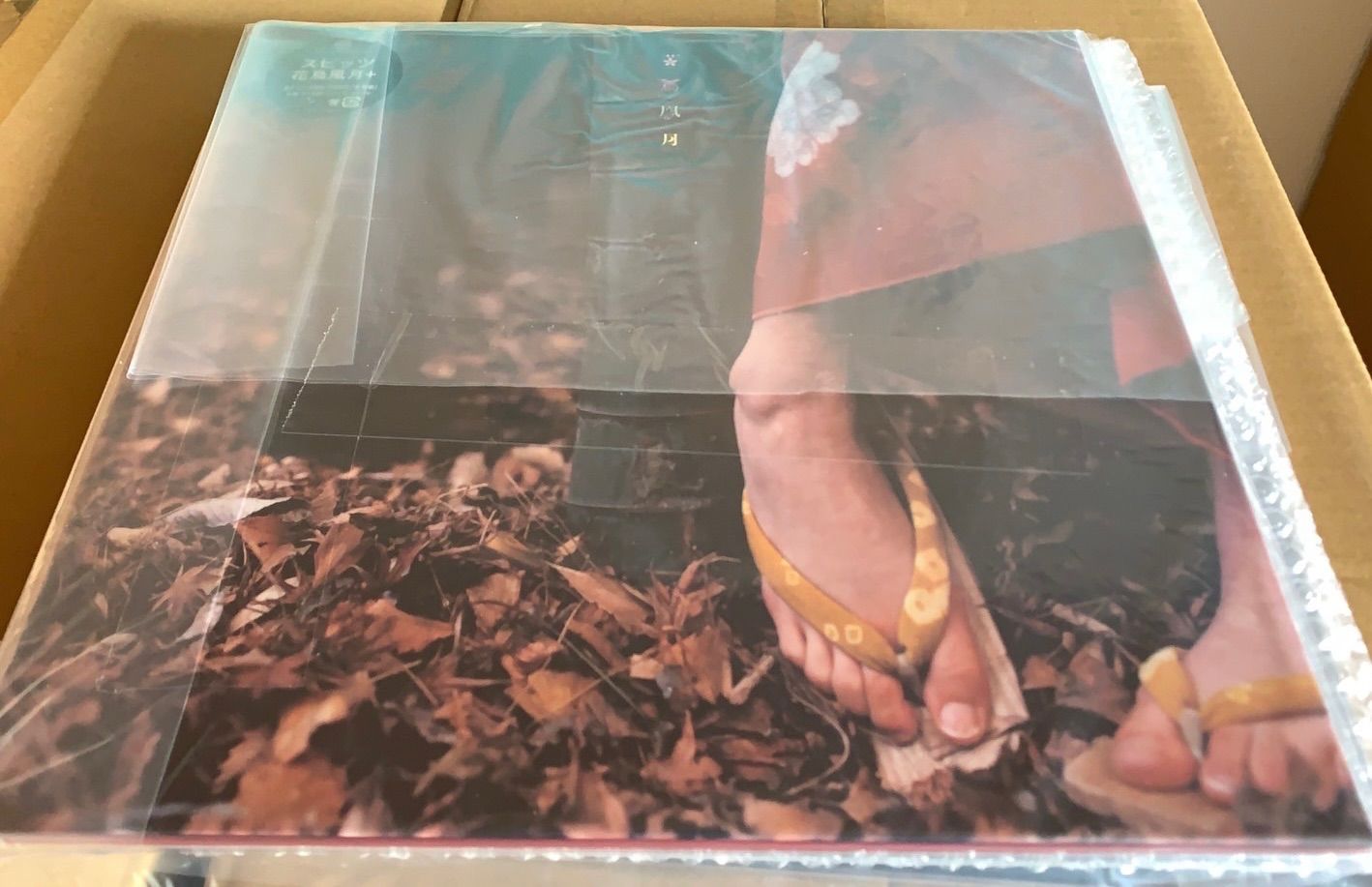 新品稀少/2LP/スピッツ/花鳥風月+/初回限定盤/重量盤 スピッツ – 花鳥風月 – 2 x Vinyl (10