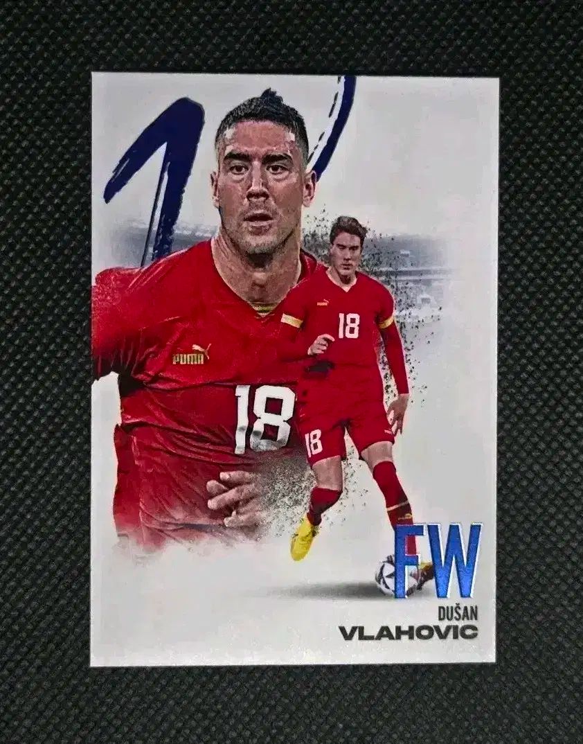 カールFブヘラ 未使用 純正 ベルト 18mm-16mm アリゲーター おまけ付