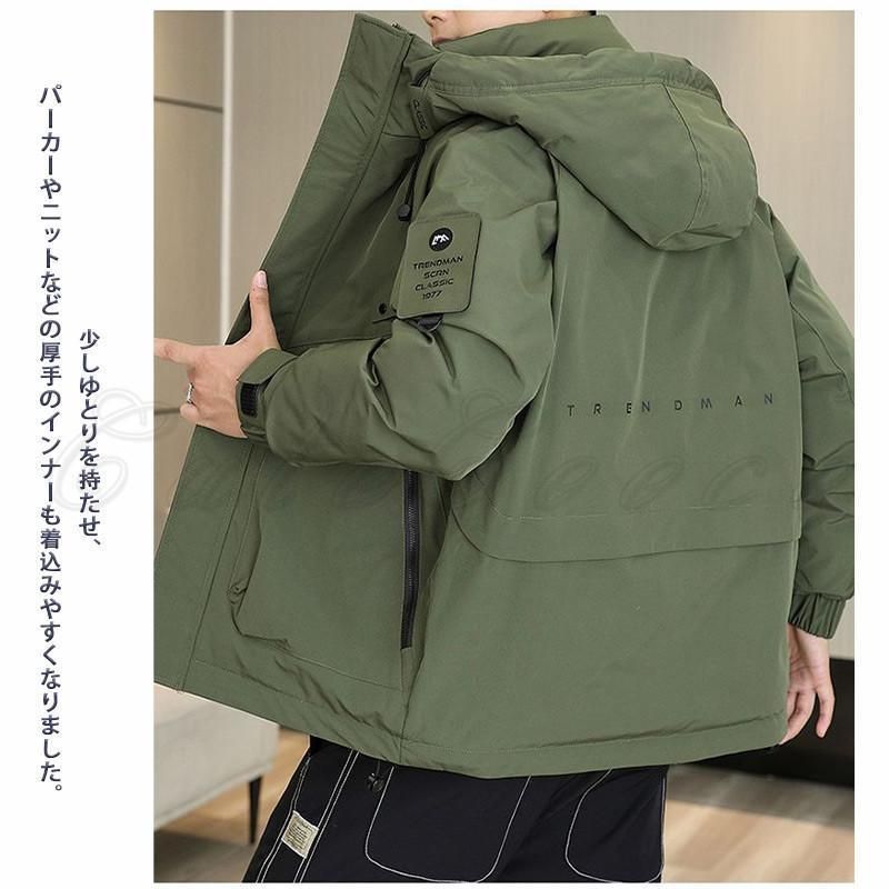 橋本関雪印譜 : 水野 恵: Japanese 【中古】 橋本関雪印譜 Books