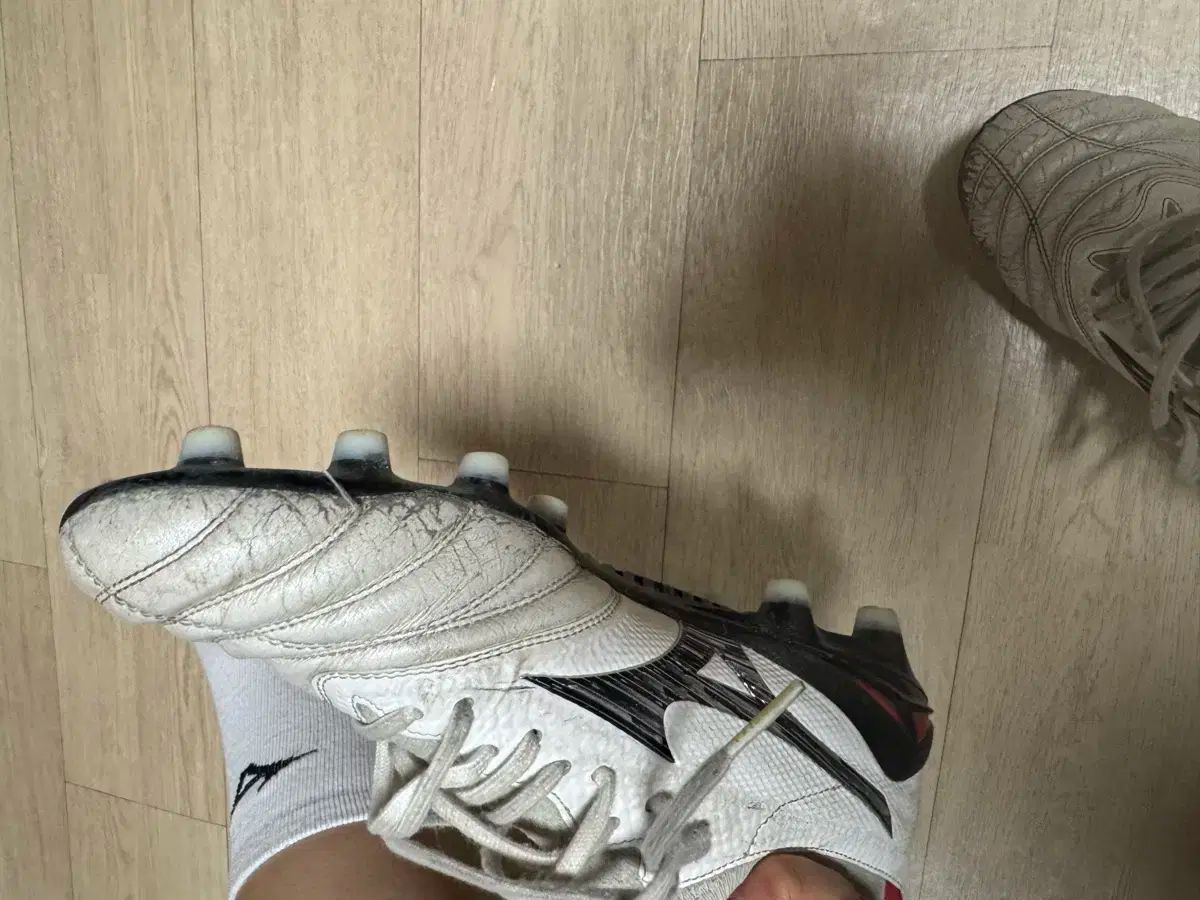 4 日本