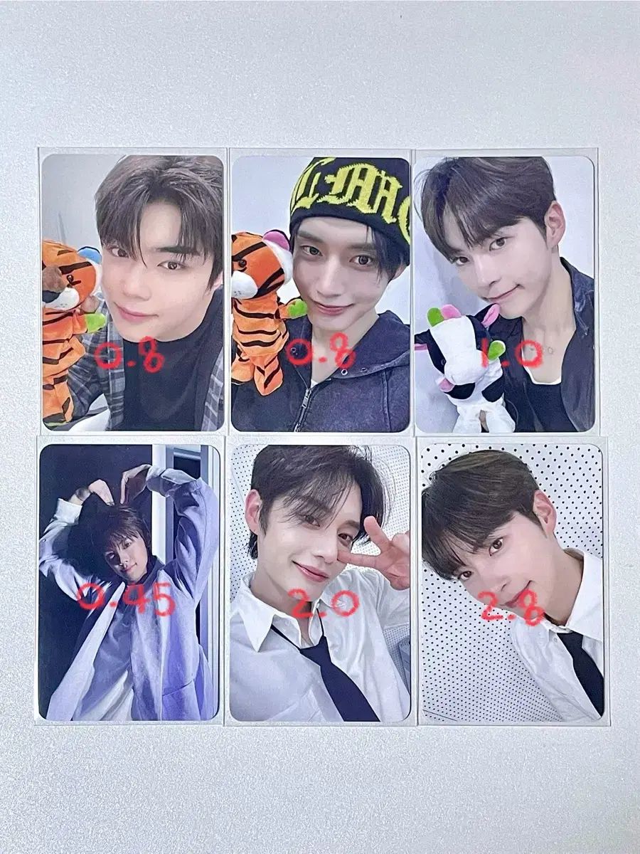 ZB1 everline ラキドロ ジウン 2025年最新】ZB1 ラキドロ ジウンの人気アイテム - メルカリ