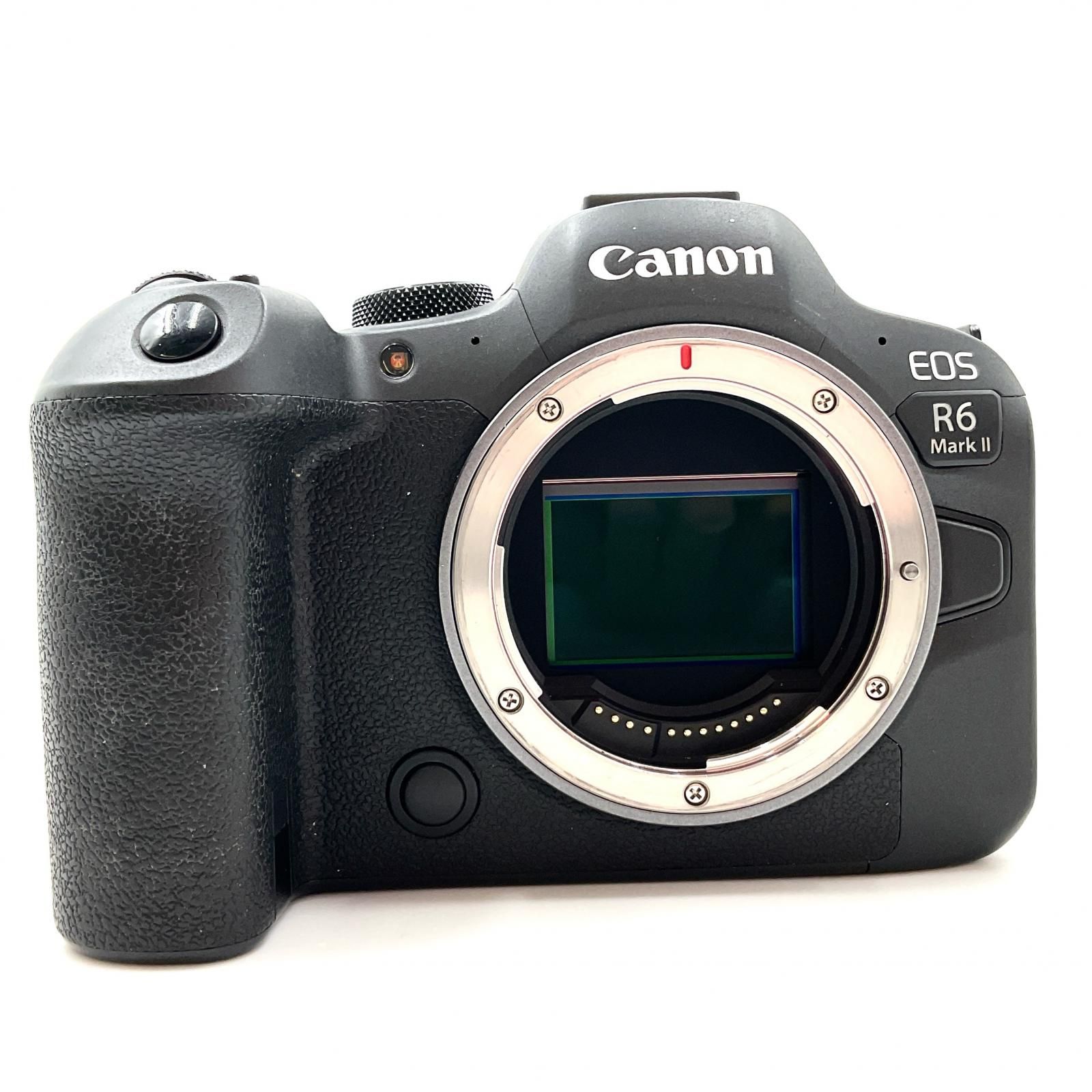 ネット買付 Canon EOS R6 ボディ 元箱あり 動作確認済 【公式通販】