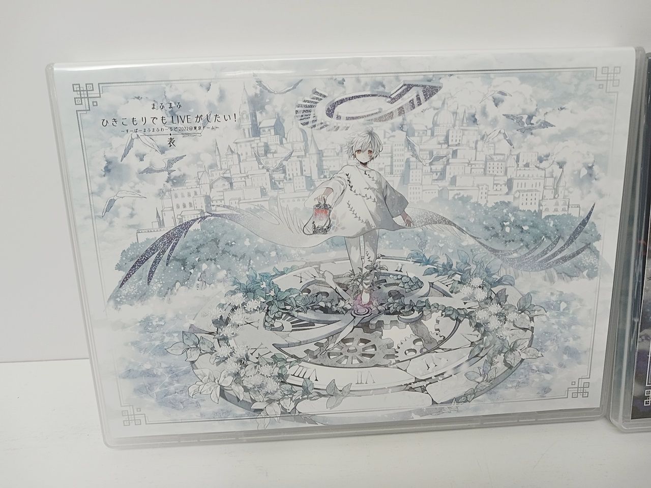 まふまふ ひきライ2022@東京ドーム 表裏セット DVD まふまふ ひきライ2022@東京ドーム 表裏セット DVD