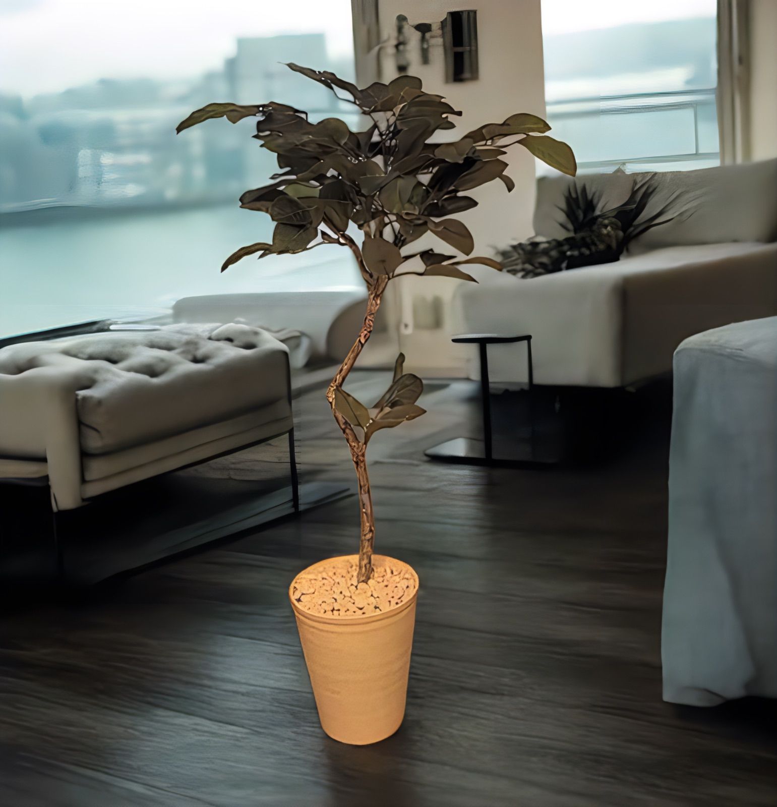 光触媒 人工観葉植物 ウォールグリーン フェイクグリーン コーヒーの木