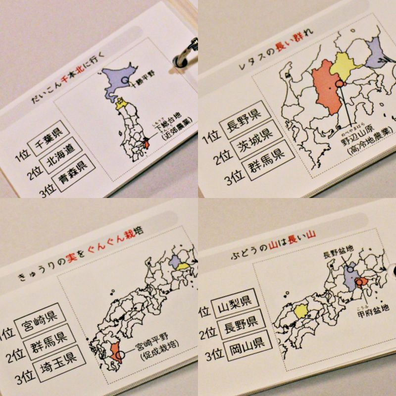 地理セット改　中学受験　 暗記カード　データバンク 　予習シリーズ　サピックス 地理セット改 中学受験 暗記カード データバンク 予習シリーズ