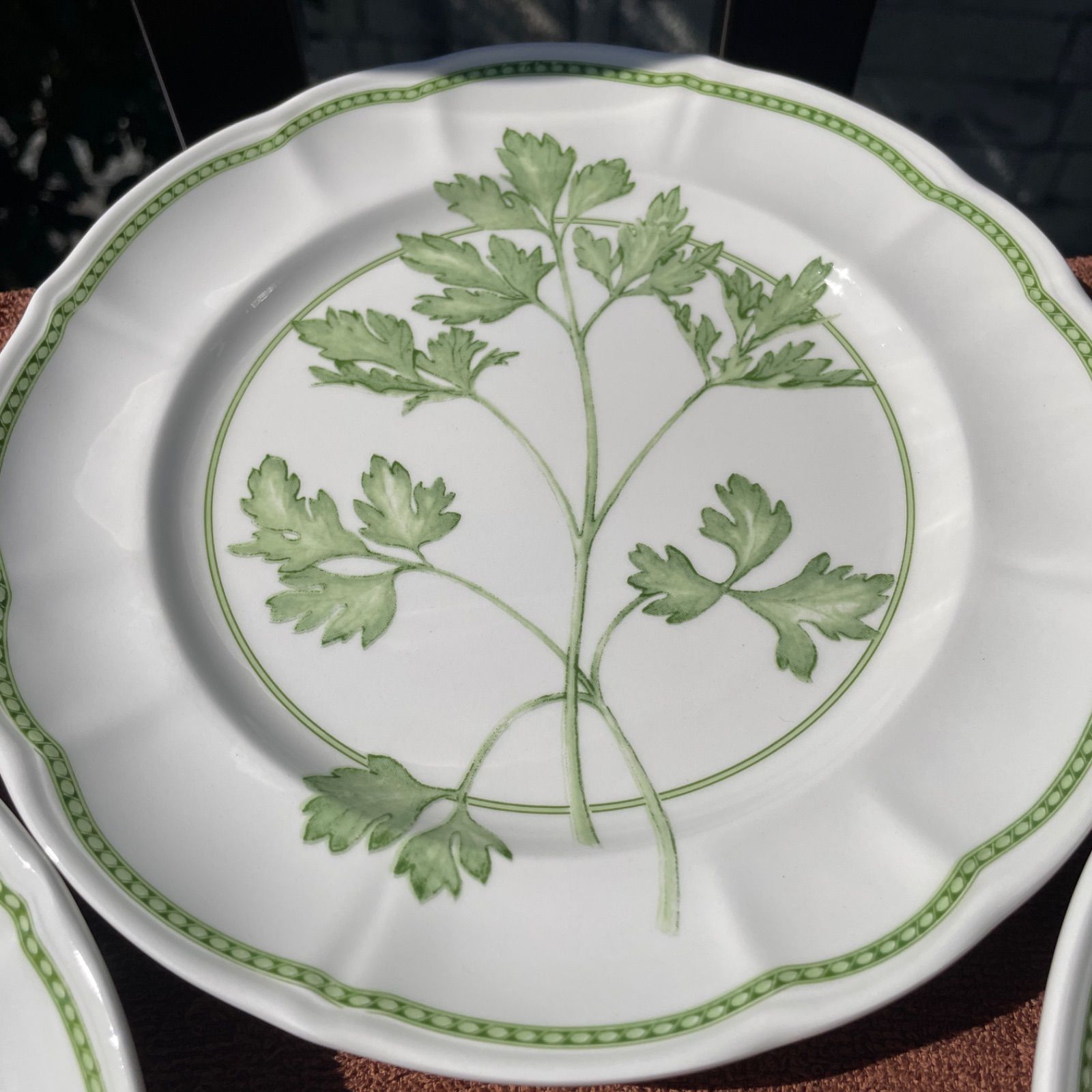 リチャードジノリ ハーブ