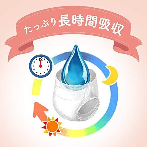 ケース品 2倍やわらかカシ