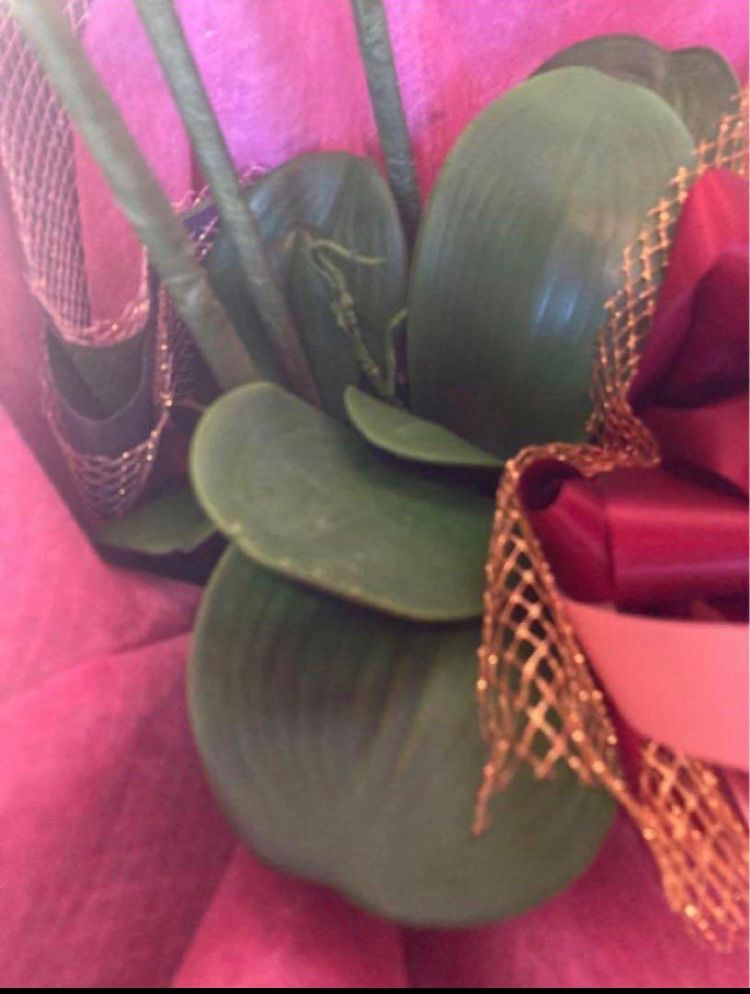 光触媒 人工観葉植物 ウォールグリーン フェイクグリーン ショップ