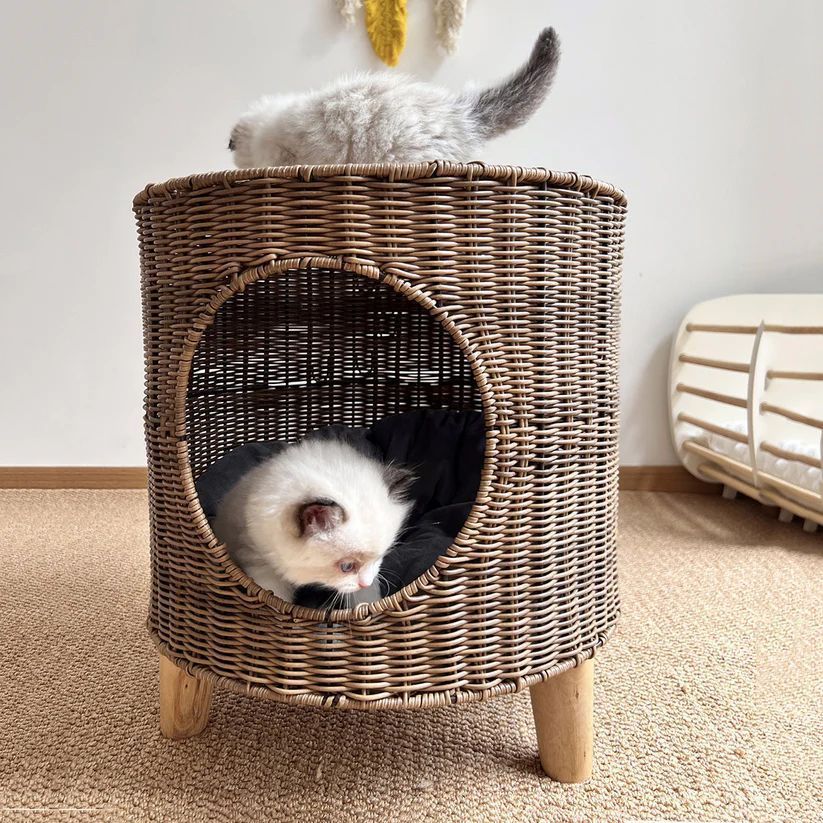 猫用家具 コットンパッド付