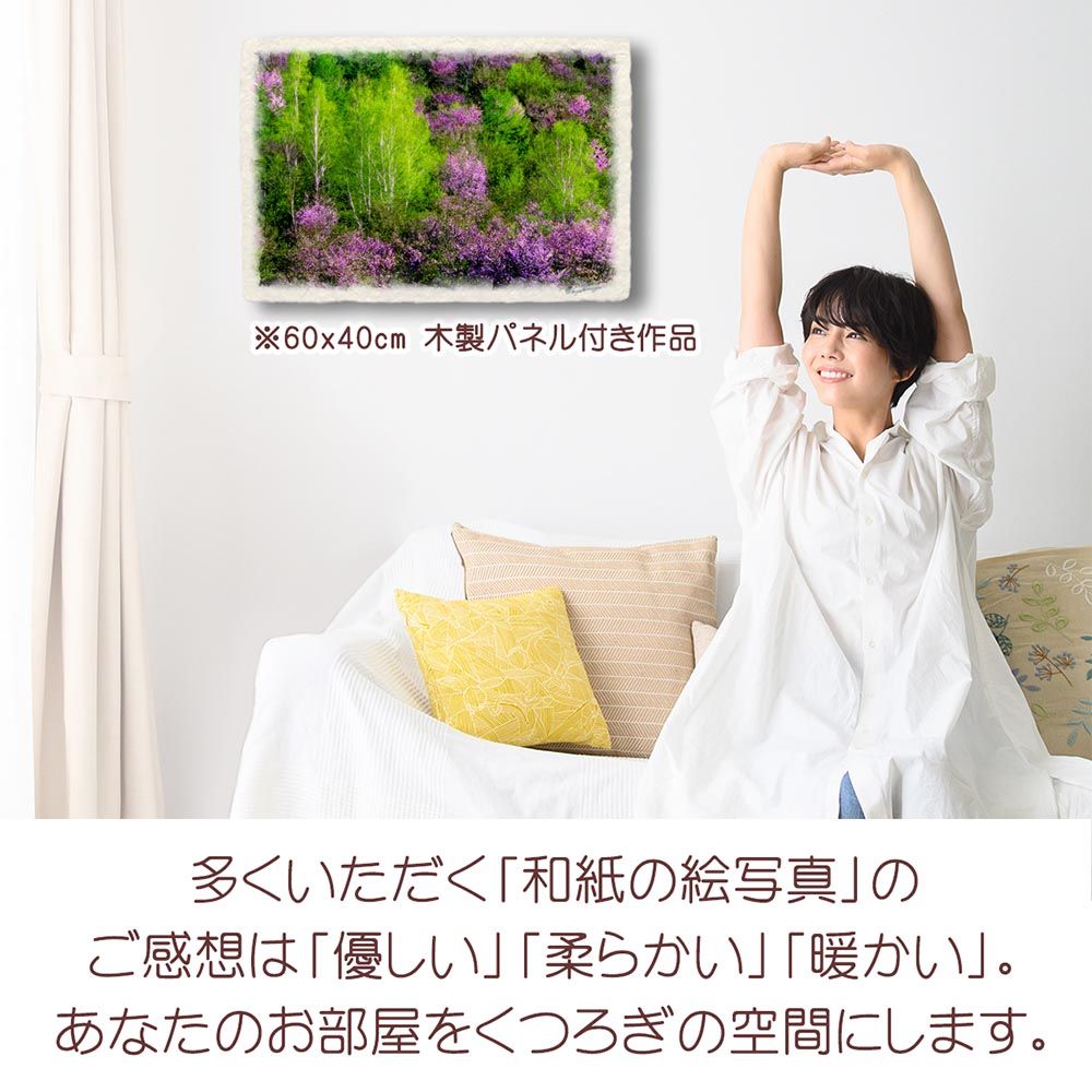 和紙の絵写真 「山桜の中の新緑の白樺」 パネル付き 48x33cm 絵画