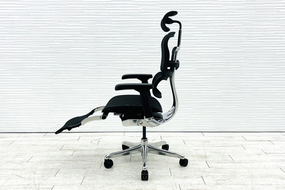 自社保証有 エルゴヒューマンプロ2