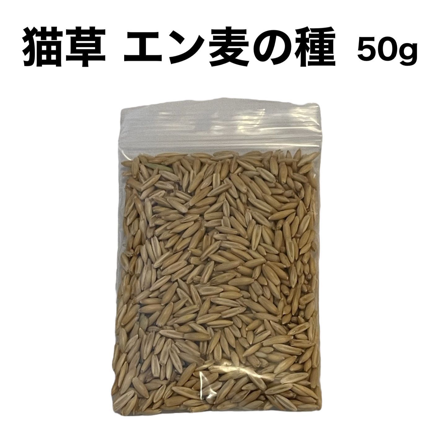 猫草 水耕栽培セット エン麦の種 50g イエロー