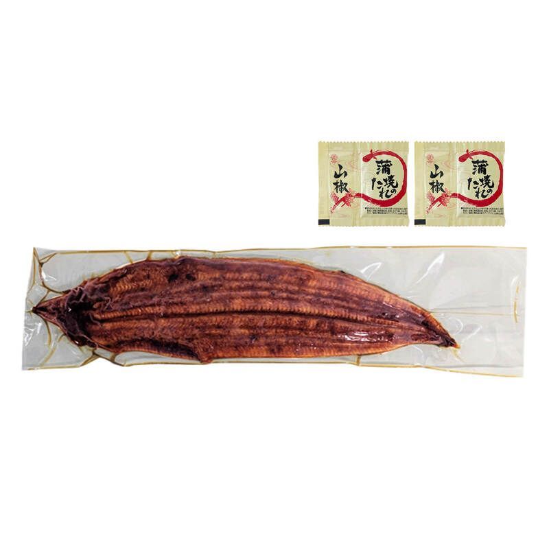 鰻 ウナギ