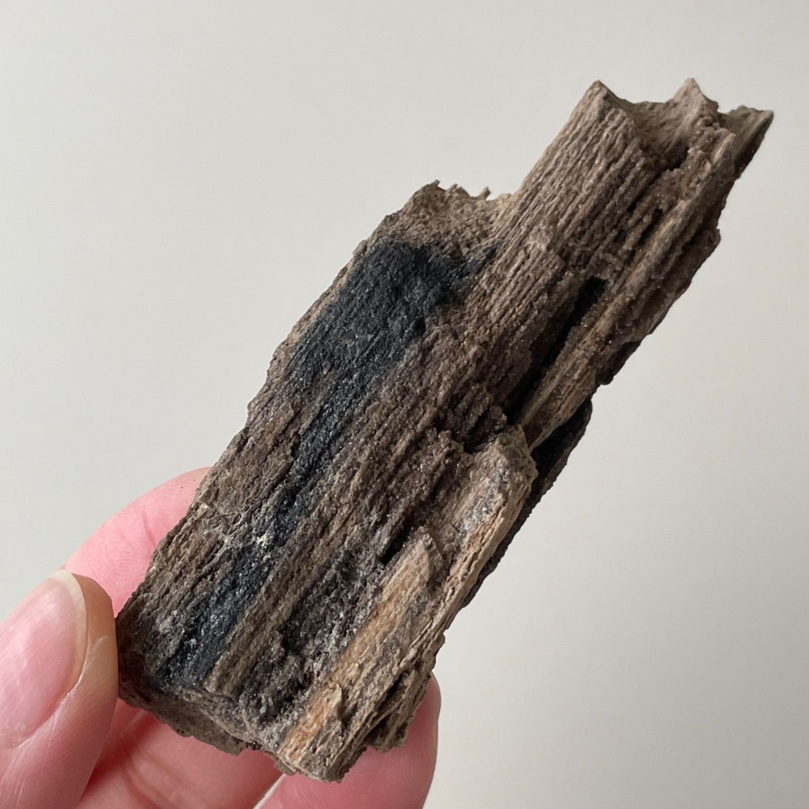 インドネシア産︎Petrified Wood ペトリファイドウッド|天然石　パワーストーン　gem stone