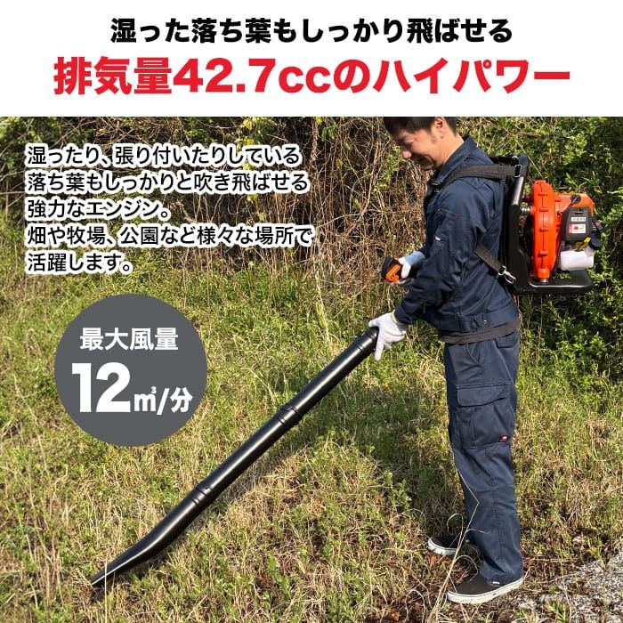 エンジン式 ブロワー 集塵機 ガーデニング 園芸 樹木 街路樹 ブロワ ブロア エンジンブロワ 落ち葉 枯れ葉 吹き飛ばし 送風機 掃除 剪定 除草 庭