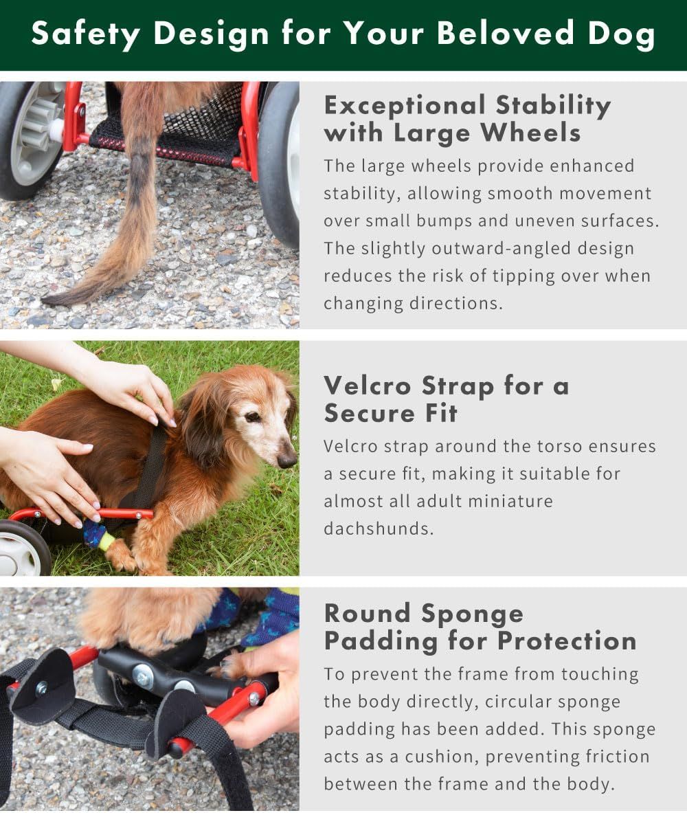 ドッグウォーカー 犬用歩行器 ミニチュアダックスフンド用 日本製