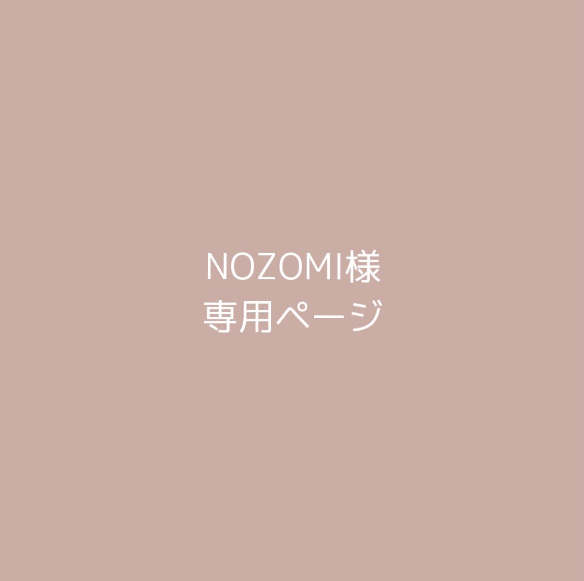 のぞみ様 専用ページ その他 のぞみ様 専用ページ その他