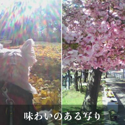 かわいい