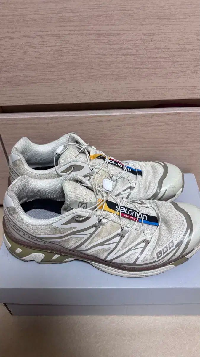 SALOMON サロモン xt ー 6 タートルダブ 290 HRDEVELOPMENT_JP