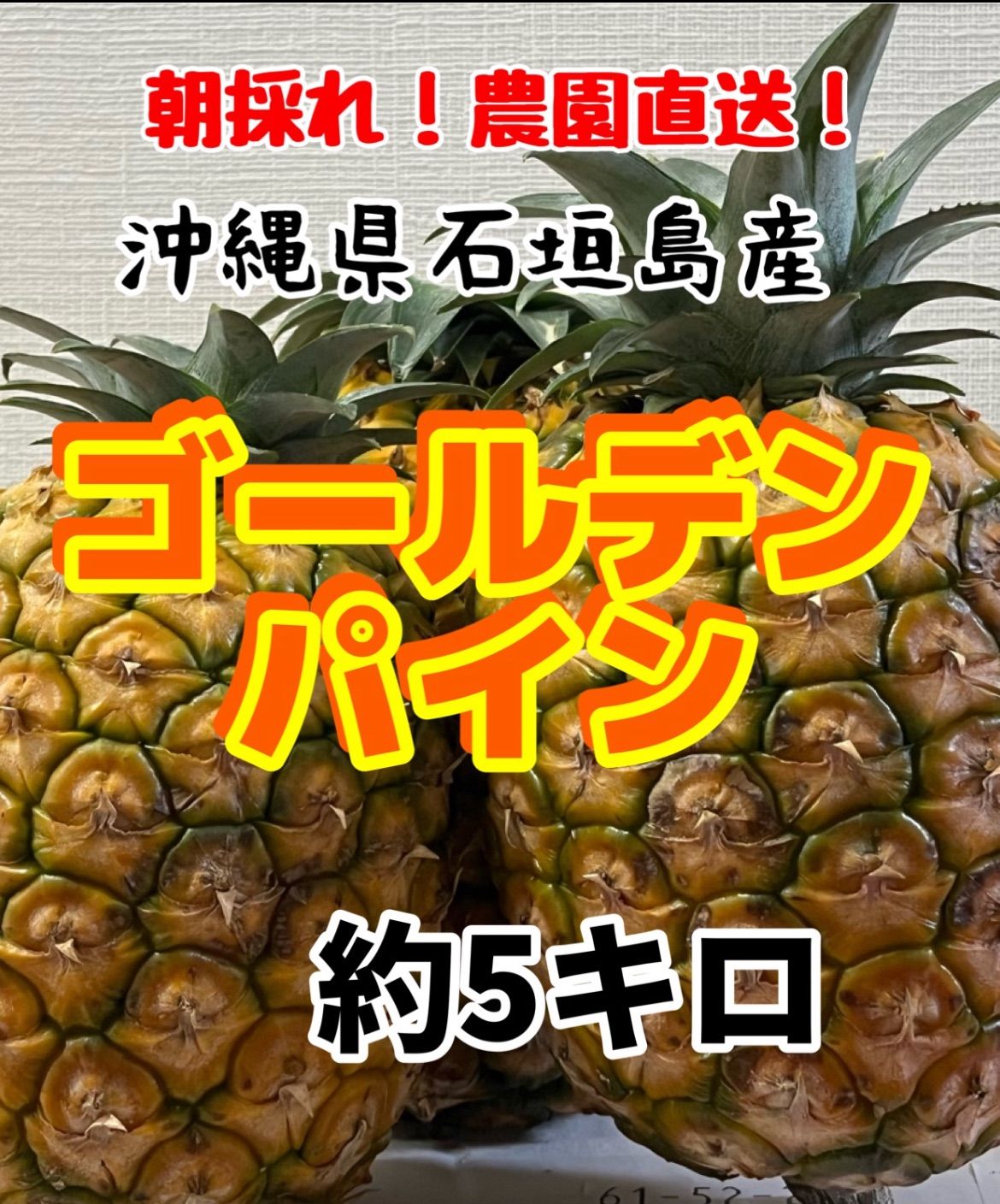 クール便》沖縄県石垣島産ゴールデンパイン約5キロ - メルカリ