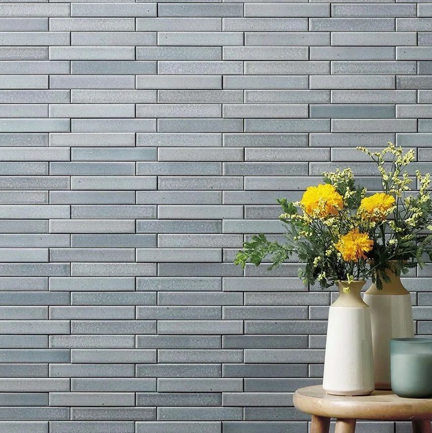 現品】ユッカ・マルデヌベス var.リギダ 12号 黒鉢（1） 現品】ユッカ