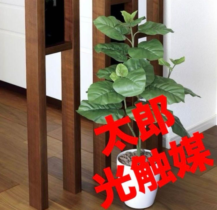 ラフルスキーパリのアレクサンドル3世橋6F油彩真作ebayで120万円