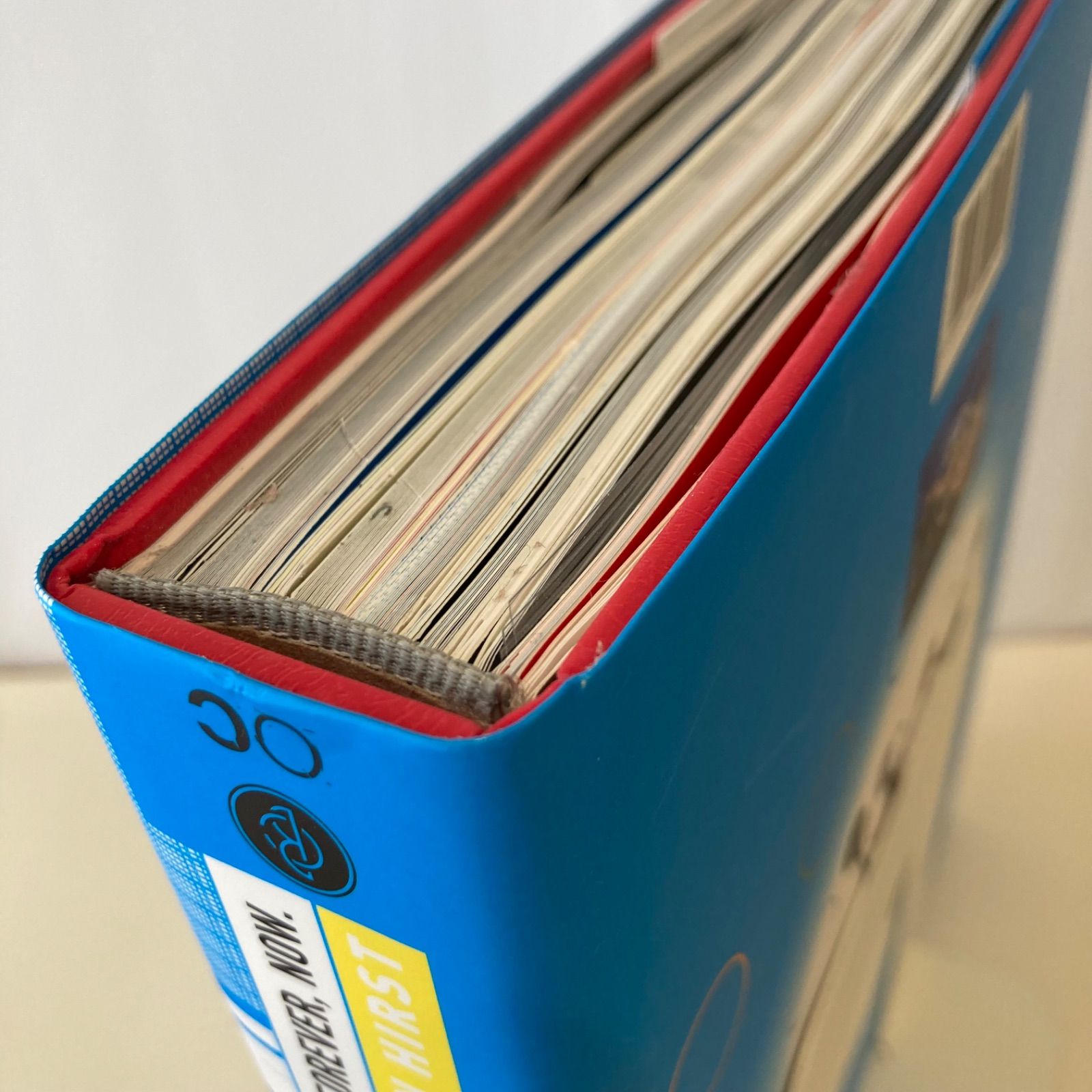 Damienhirst ダミアン・ハースト作品集 付属品ややあり 洋書