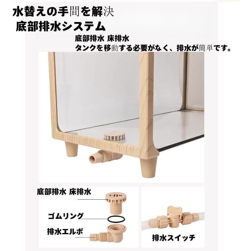 カメの生息地