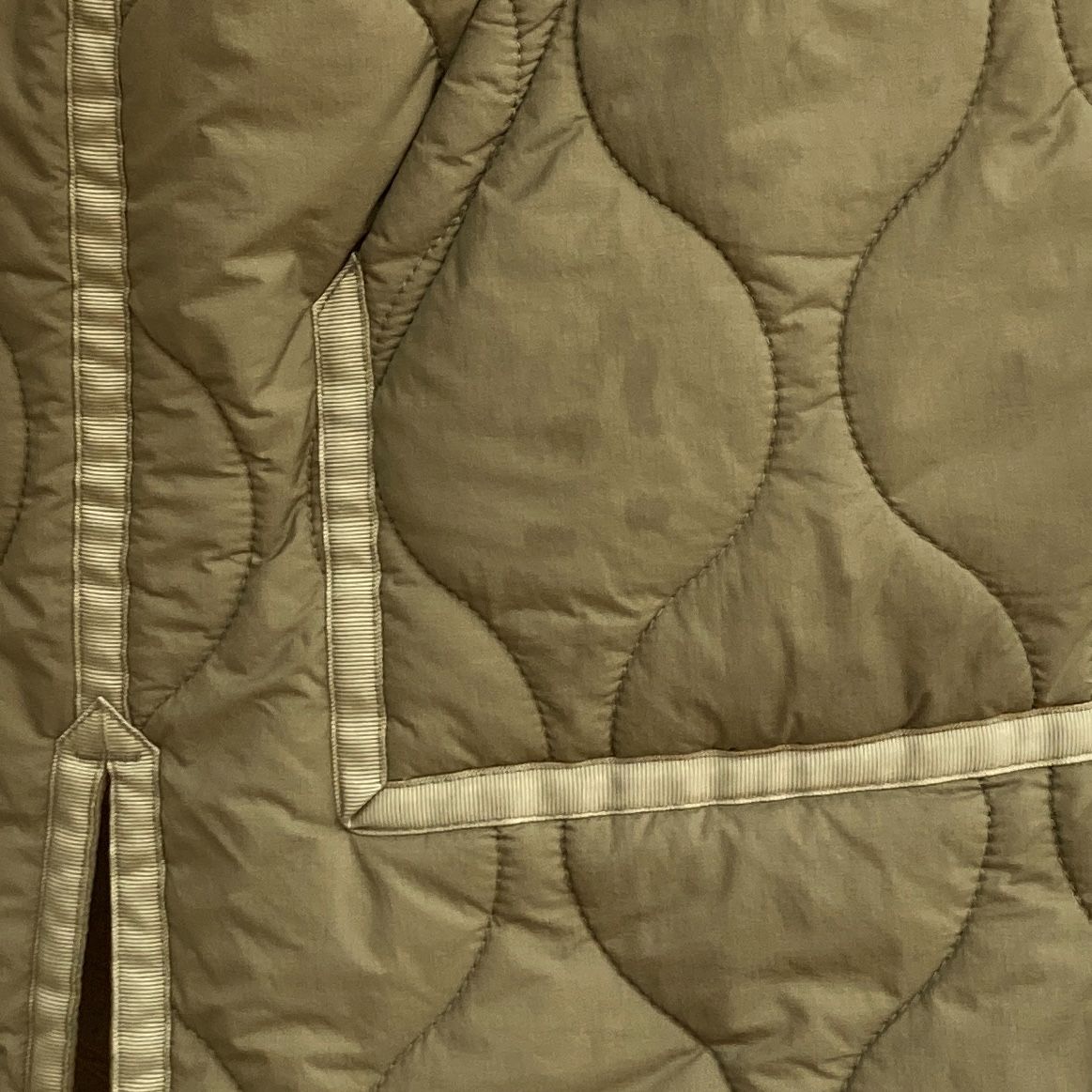 ワイルドシングス