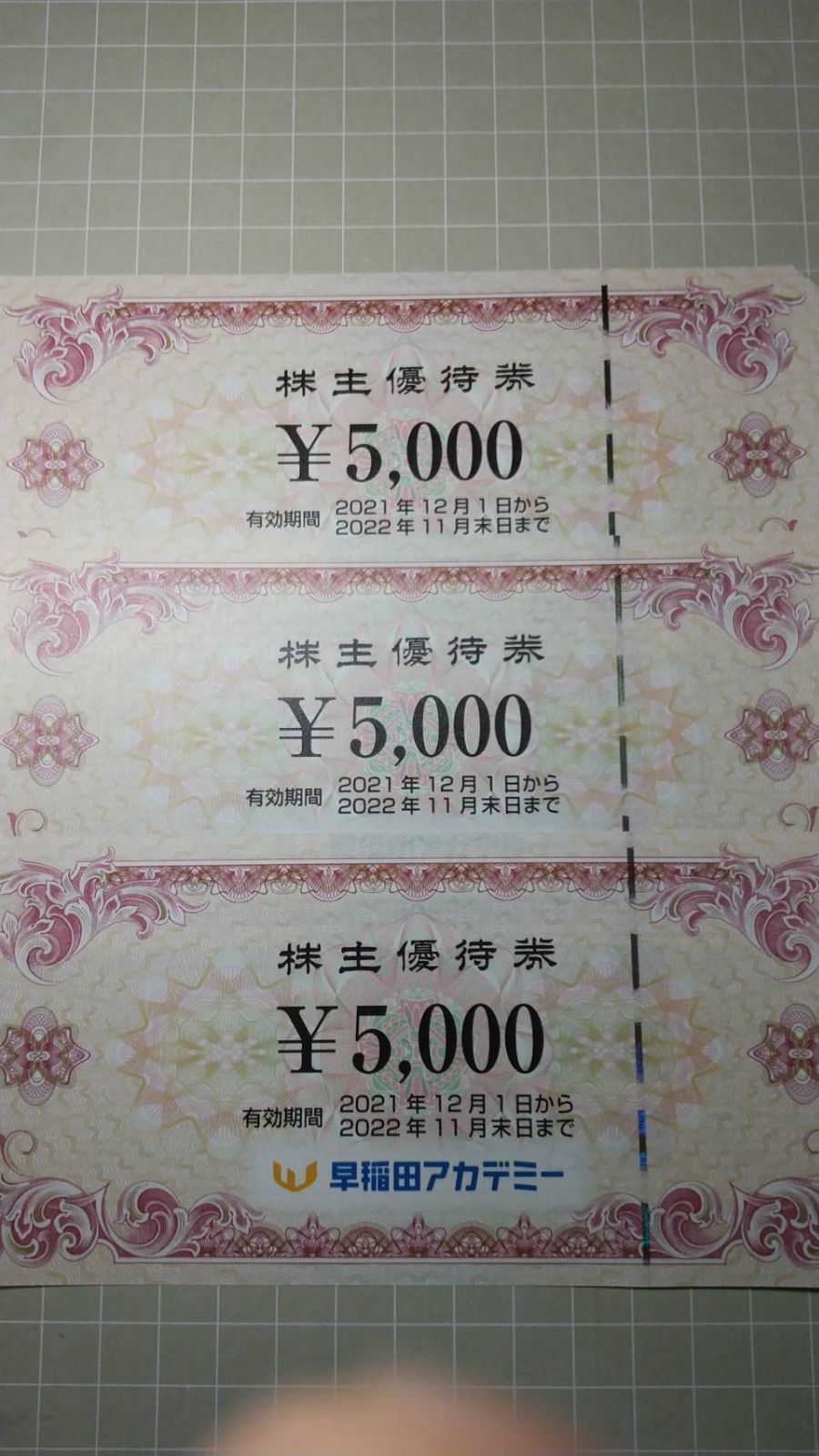 早稲田アカデミー株主優待券15000円分(5000円×3枚)-