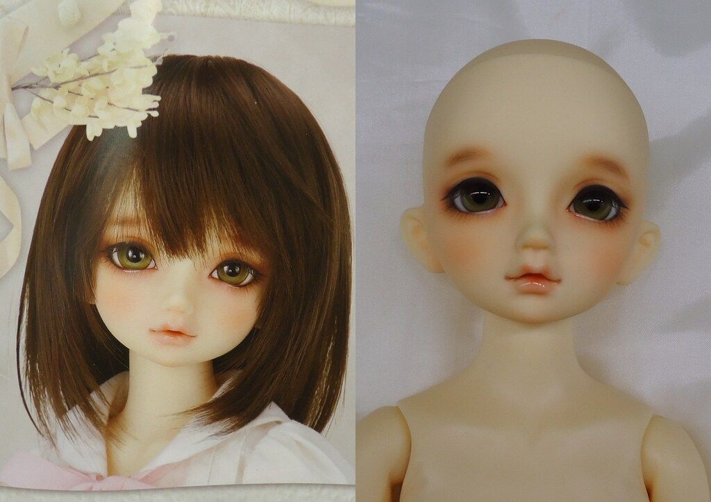 ボークス SDM女の子 スタンダードモデル のあ ウィッグタイプ ボークス