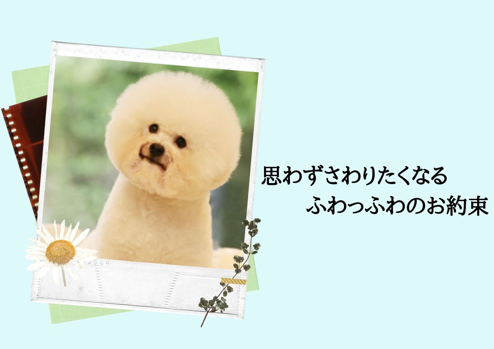 アルトリーム