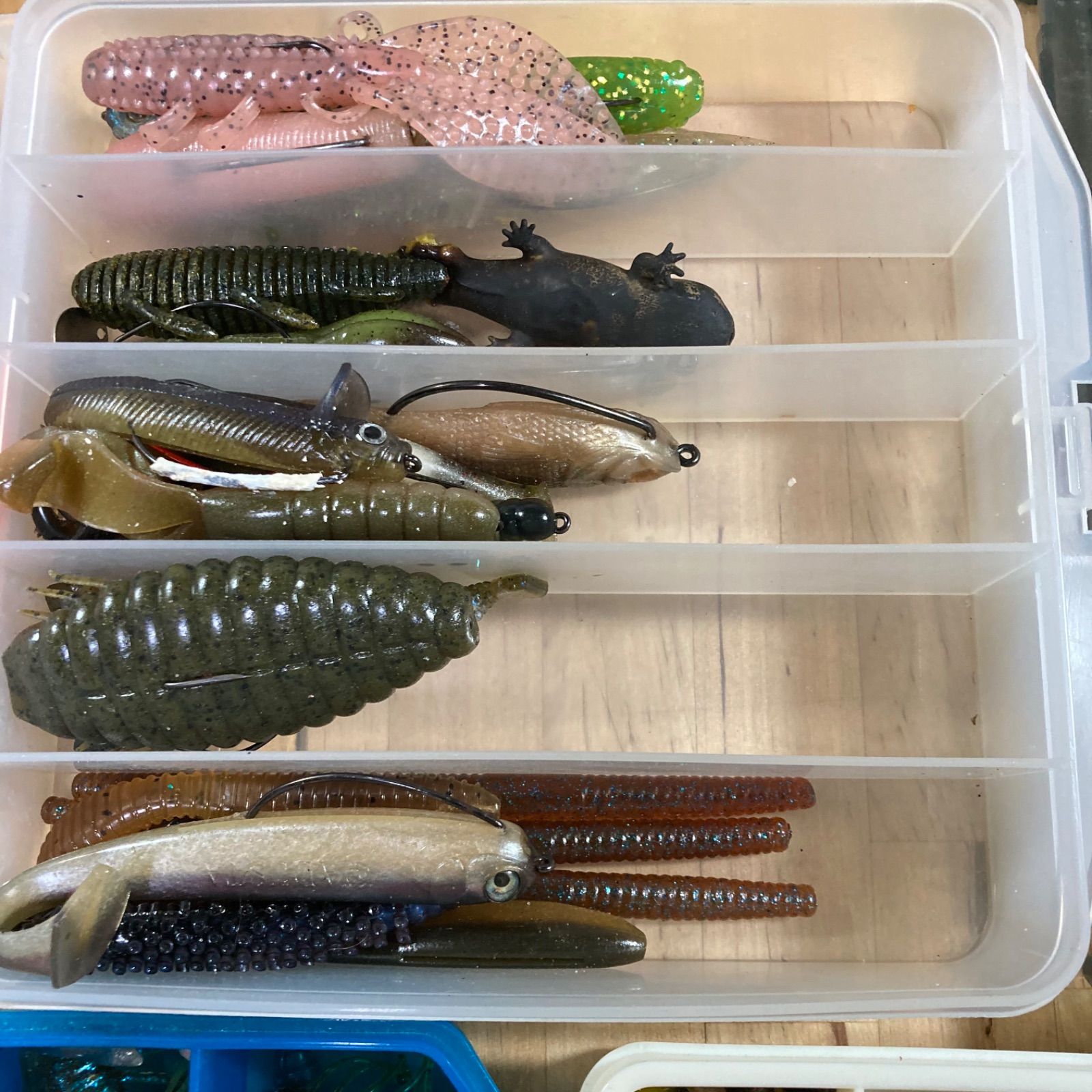 ワーム大量 約１２ｋｇ
