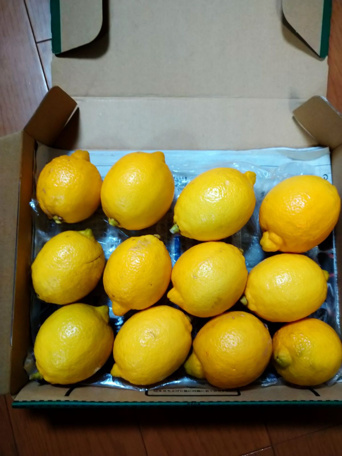 [176]果汁・果肉専用　訳あり璃の香　国産グリーンレモン　家庭用約4.5kg