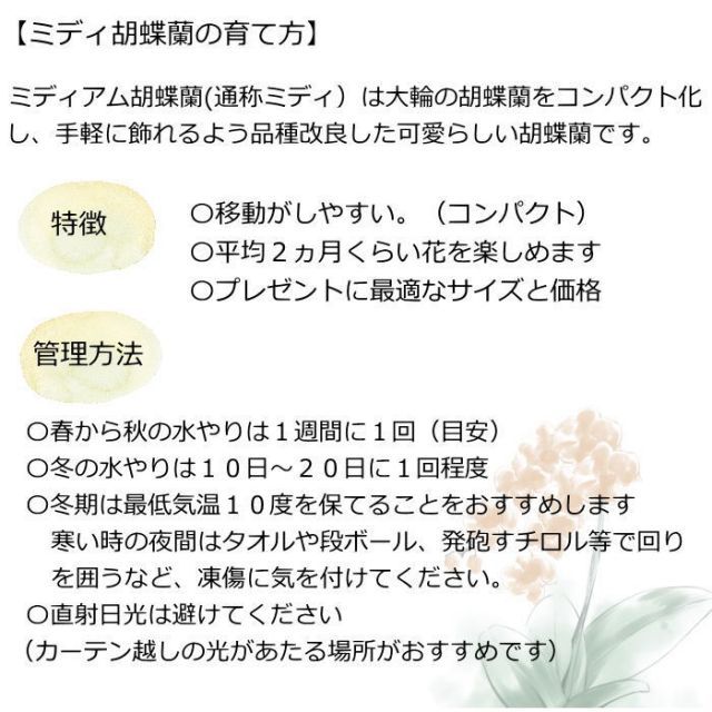 誕生日 花