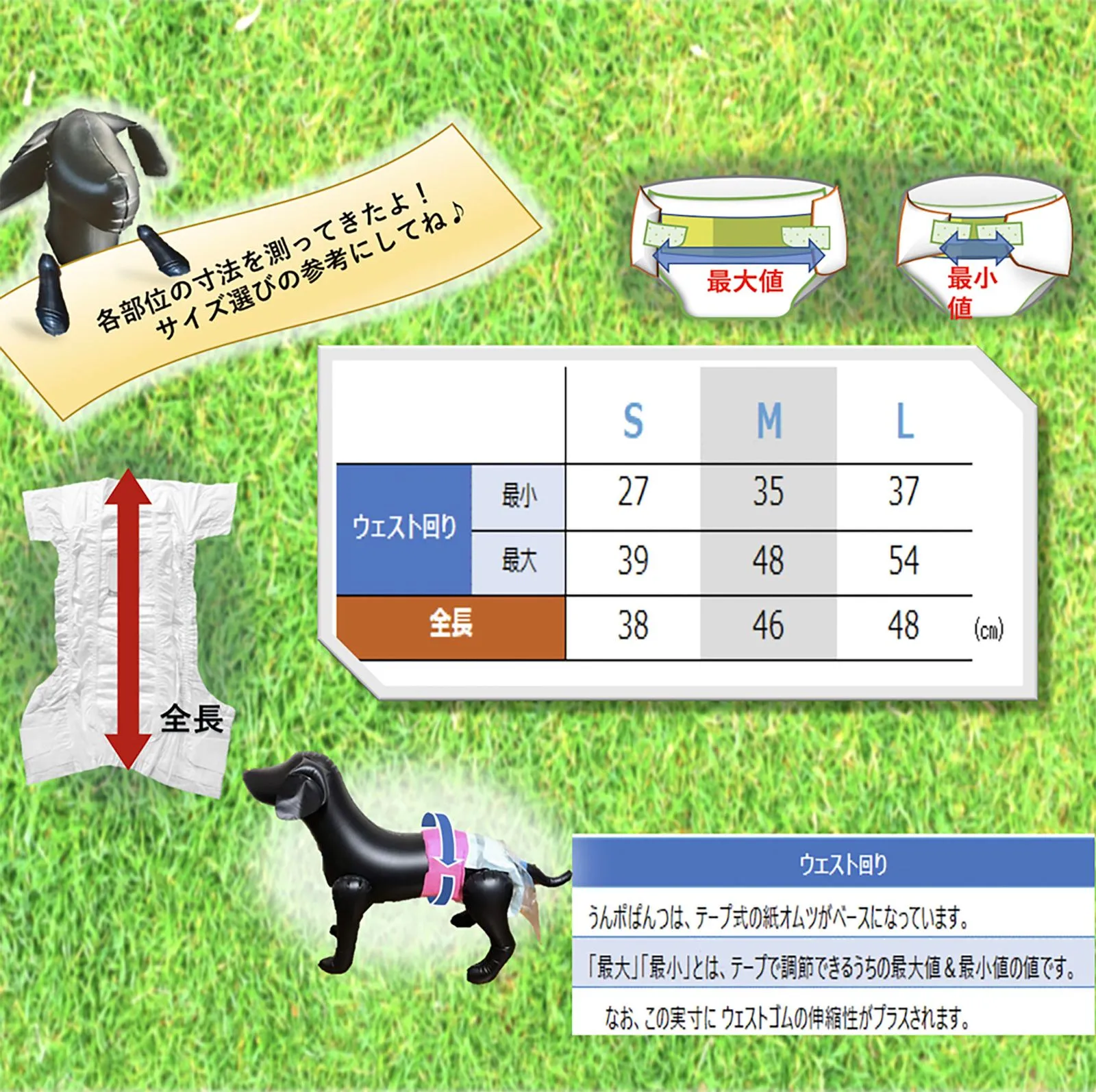 うんぽパンツ Lサイズ 39枚入 Amazon.co.jp: うんぽパンツ L・30