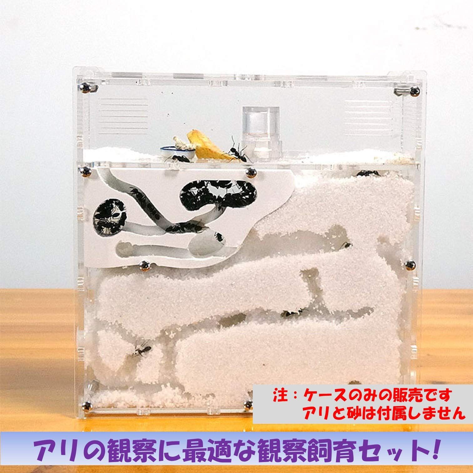 昆虫用品 あり巣 in underground アリ 蟻 観察 飼育セット 蟻マシーン