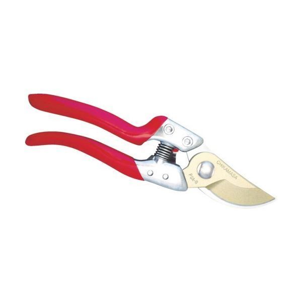 購入 クンルン ネイゴン 崑崙山脈に伝わる一子相伝の秘宝 マックス